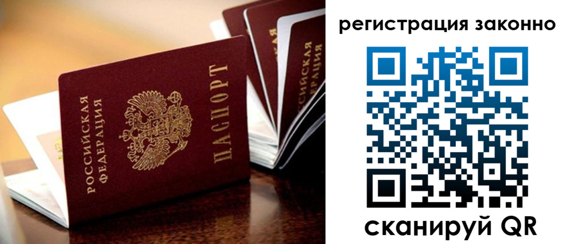 прописка для школы в Ленинградской области